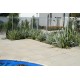 Concrete Paver - Sandy 375 x 375mm Coloured