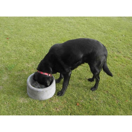 Concrete Dog Bowl - Small Concrete Dog Bowl - Small