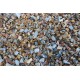 Teddington Chip 20mm - Scoop Teddington Chip 20mm - Scoop