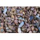 Teddington Chip 40mm - Scoop Teddington Chip 40mm - Scoop