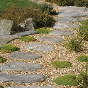 Waitaha Stepping Stones