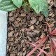 Premium Large Bark Nuggets 30mm - Cubic Metre Premium Large Bark Nuggets 30mm - Cubic Metre