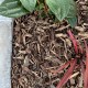 Forest Floor Bark - Cubic Metre Forest Floor Bark - Cubic Metre