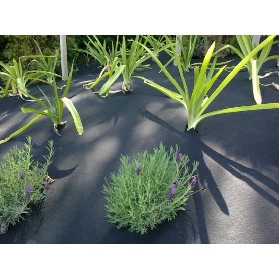 Weedmat Ecocil 0.9 x 10m Weedmat Ecocil 0.9 x 10m