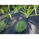 Weedmat Ecocil 0.9 x 10m Weedmat Ecocil 0.9 x 10m
