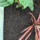 Organic Compost - Scoop Organic Compost - Scoop