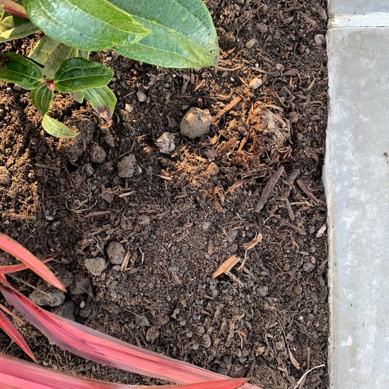 Vege Grow Soil - Cubic Metre Vege Grow Soil - Cubic Metre