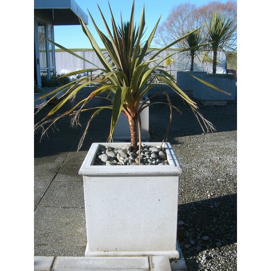 Concrete Planter Square Large - Natural Concrete Planter Square Large - Natural