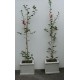 Concrete Planter Square Small - Exposed Aggregate Classic Concrete Planter Square Small - Exposed Aggregate Classic
