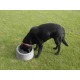 Concrete Dog Bowl - Large
