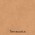 Concrete Paver - Smooth 400 x 200mm Coloured - Terracotta